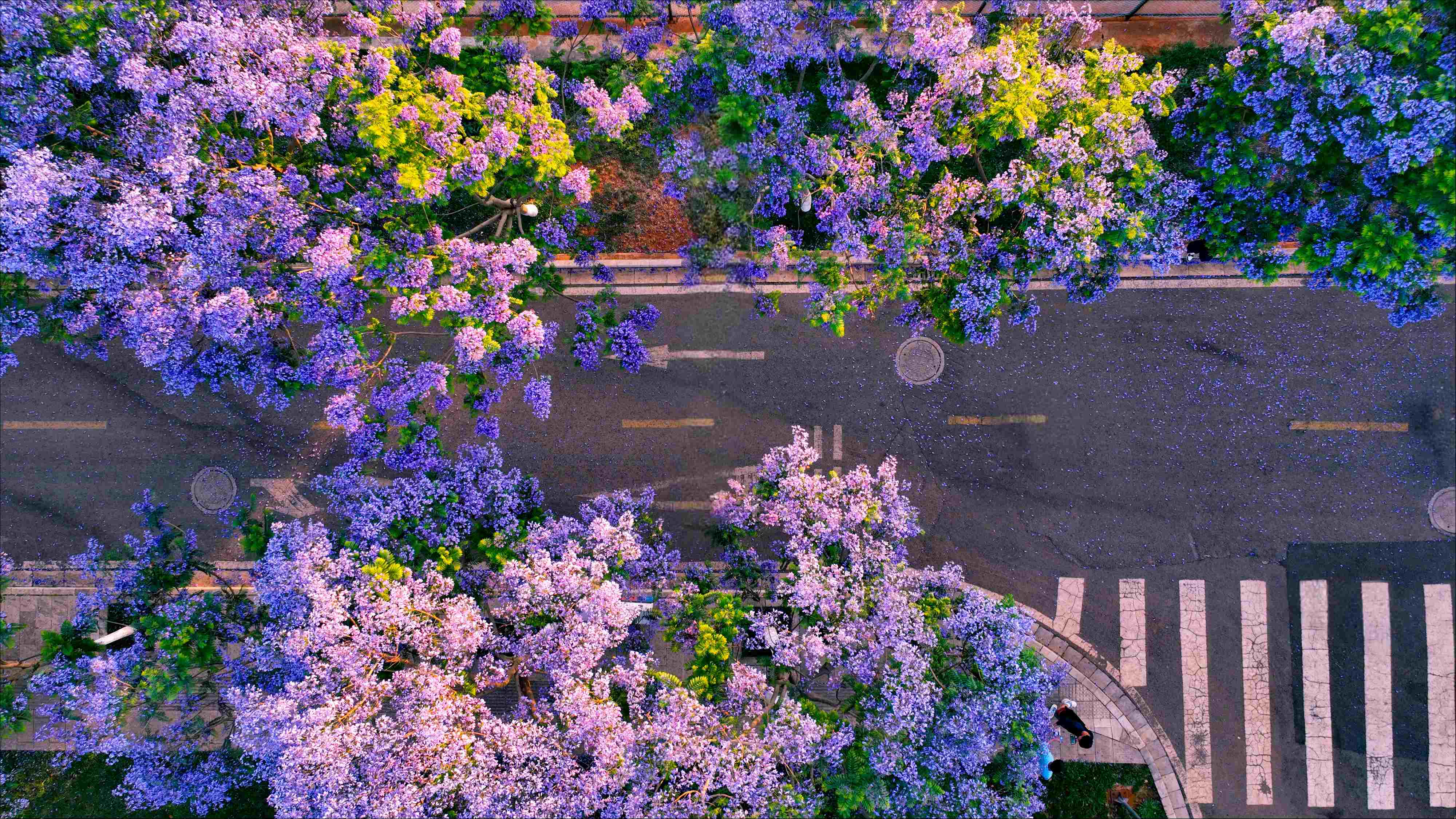 Jiangsu Wisedu Limited Company jiangsu-wisedu-limited-company